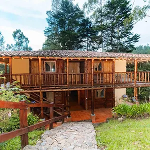 Alma 4*, Medellín Colombia